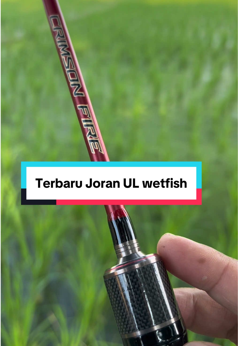 Terbaru joran UL carbon solid murah wetfish crimson fire. #mancing #joranmurah #joranultralight #beranda #wetfishcrimsonfire 