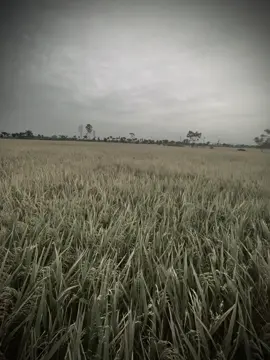 爱情就像火焰，如果不懂珍惜，它很快就会熄 