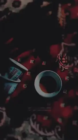 ماياخذ الرجال مجده طلايب #عبدالاله_العالي #اكسبلور #ترند #خالد_ال_بريك #تيك_توك 