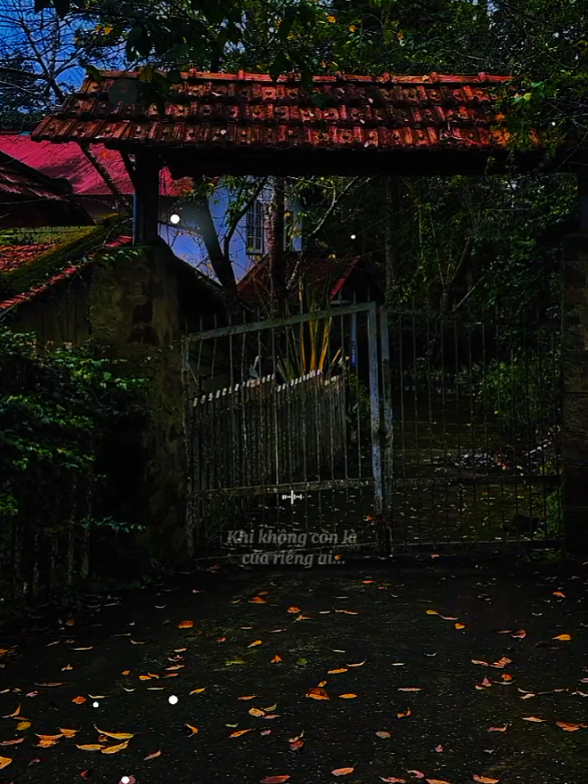 Người đàn bà cũ.  khi không còn là của riêng ai....... [ Người Đàn Bà Cũ ] #nguoidanbacu #nhacbuontamtrang  #tramcamxuc💔  #maucapcut  #tramnhac07 