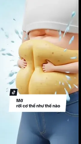 Mỡ rời khỏi cơ thể như thế nào #songkhoemoingay #suckhoe #xuhuong #tapluyen #giammo 