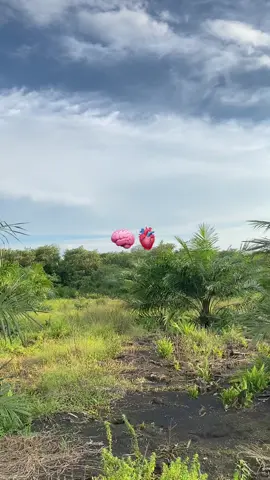 #fypシ #petanimuda #fypage 