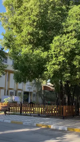 #جامعة_الامام_جعفر_الصادق #طلاب_الجامعات #كلية_القانون #كلية_الصيدلة #علم_النفس_السريري 