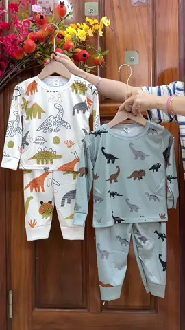 Bộ dài tay thun lạnh in hình khủng long cho bé trai#tiemmeken #bobetrai #bochobetrai #bokhunglongchobe #bodaitaychobe 