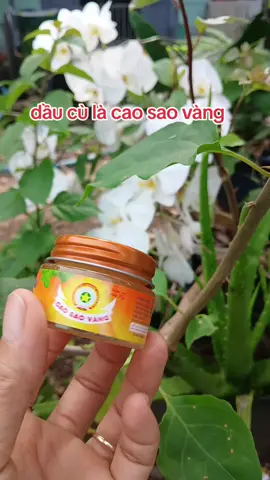 dầu cù là cao sao vàng #xuhuongtiktok  #xuhuongtiktok 