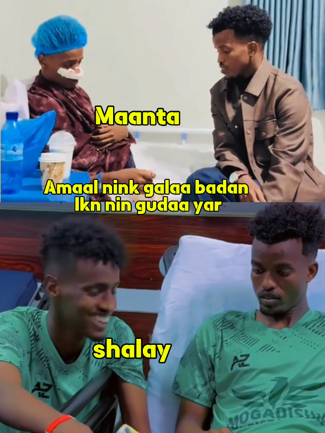 Sayga haji iyo goad geesay balo sxb miyaa mase waa Walaalo  asxaabay #goadgeesey🐐 #saygahaji 