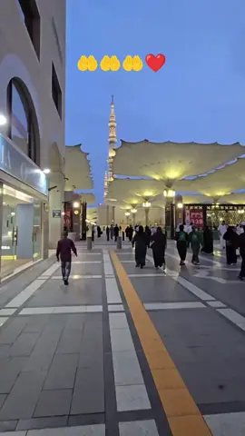 🤲🤲🤲❤️❤️❤️