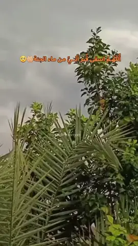 #في هذا اليوم #رحمك_الله_يا_فقيد_قلبي😭💔 #فراق_الأب_وجع_لا_ينتهي😞🙇🏻‍♀️😭 #الحزن💔عنواني💔ــہہہــــــــــہہـ👈⚰️،،، 