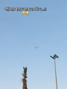 Amuu Tumake onek miss kori..!!😭#প্রবাসী #foryoupage #viral 