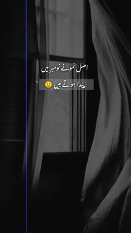 Hazro lago November walo 🙂🎂  #foryoupage #viralvideo #growmyaccount #unfreezemyacount #meh_ali_05 @TikTok @TiktokPakistanOfficial 