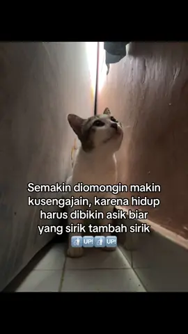 hay para pembenci😘👋🏻 #fyp #4u #sindirankeras #hihaters 