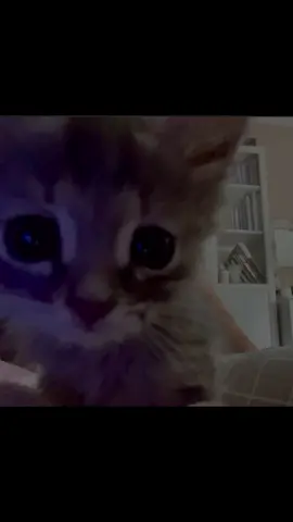 Quiero dormir… - - - - #soledad #reflexion #tristeza #anime #depresion 