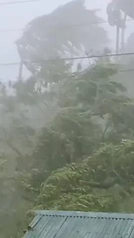 Bagyong Tino #TinoPH #WeatherUpdate #TyphoonUpdate 