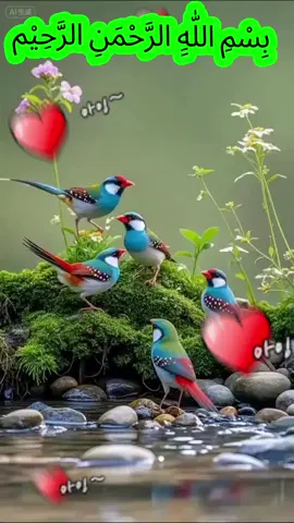 #Allah#quran #gorwaccunt🙏💞 #viral_video #muslim 