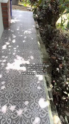 #โปรตีนวิ้งไวท์ 