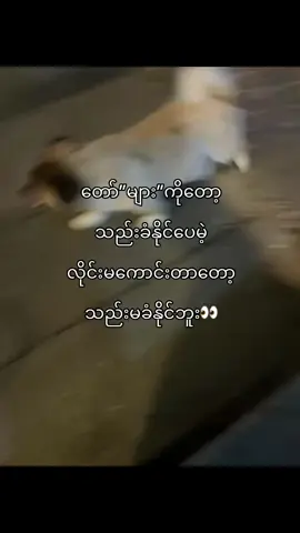 #creatorsearchinsights #foryou #foryourpage #tiktokmyanmar🇲🇲 #moots 