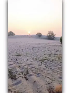 اوکھ وچ تاں بھرا وی سٹ ویندن 🥹🥀 Dear tiktok team don't under review my video   #سنگت_ویڈیو_وائرل_کریسو_آپ_ہیں🥀🌼🙈✨🎇#foryouviralvideo #foryoupage #tikpakistan #unfrezzmyaccount @TikTok @TiktokPakistanOfficial 