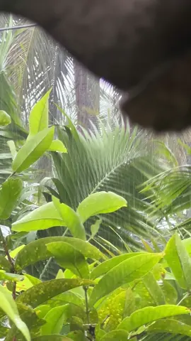 GINAGAWA MO DIYAN YA #typhoontino #southernleyte #tinoph 