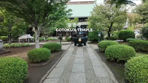 gotokuji temple