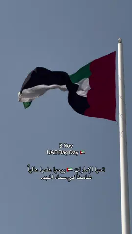03/11/2025 يوم العلم عاش العلم و عاش الوطن 🇦🇪 #يوم_العلم #الاماراتي #flag_day🇦🇪 #explore 