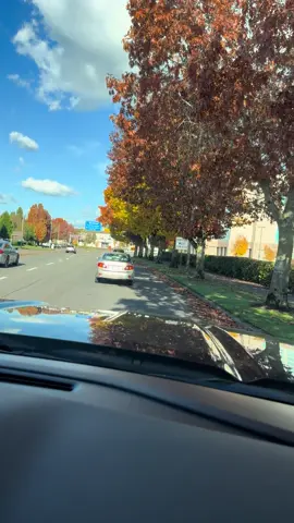 #portland #temerarios🥰🎶 #fyp #paratiiiiiiiiiiiii 