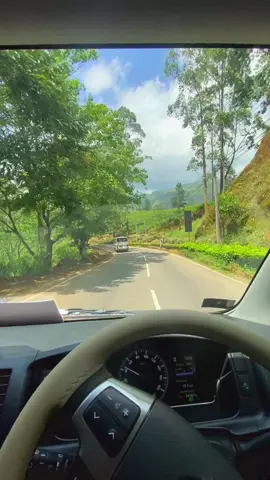 යන්න කැමතිම පාරක් 🍃♥️🇱🇰 #fyp #onemillionaudition #tiktok #boota #viraltiktok 