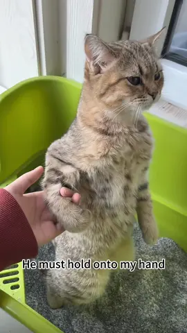 He must hold onto my hand