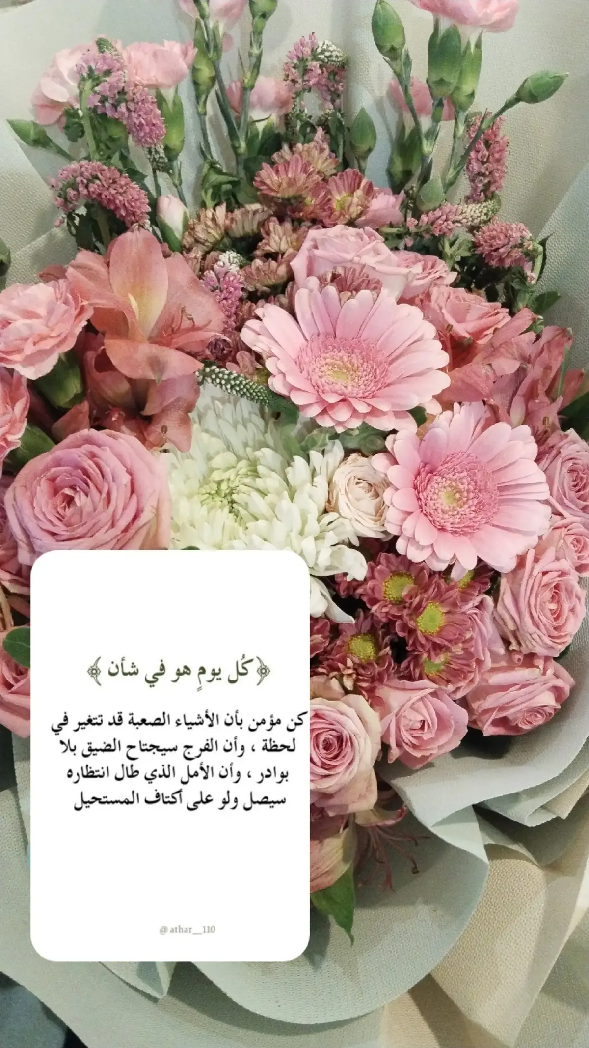 #oops_alhamdulelah ..🕊️