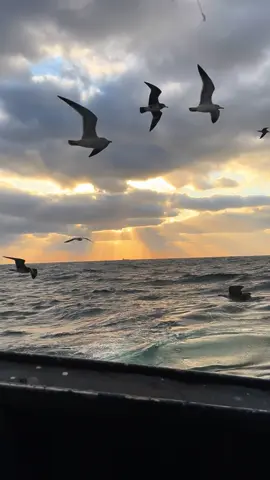 Vạn vật đều có vết nứt..