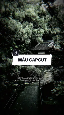 Tình yêu không trọn vẹn nữa anh đem cất sau vào tim kiếp sau #CapCut #nhachaymoingay #xh #capcutmaster #capcut #capcutpioneer #pioneertemplate 