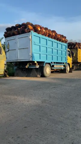 Pesona RSM di pagi hari😂#fypp #fyppppppppppppppppppppppp #smarraya #sawitontiktok #kurmariau 