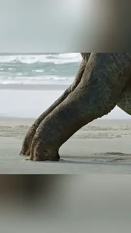 TUH PART 2👉🏻@Film Pendek   #alurceritafilm #foryou #movie 