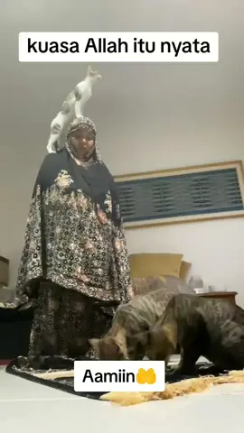 #assalamualaikum🙏 #kuasaallah #nyata #ijabahdoakuyaallah😭 #aamiinyarobbalalamin🤲🤲 