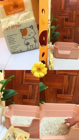 Paw-fectly fresh with tofu cat litter! 🐱✨ #evercharm #tofucatlitter #catlover #fyp 