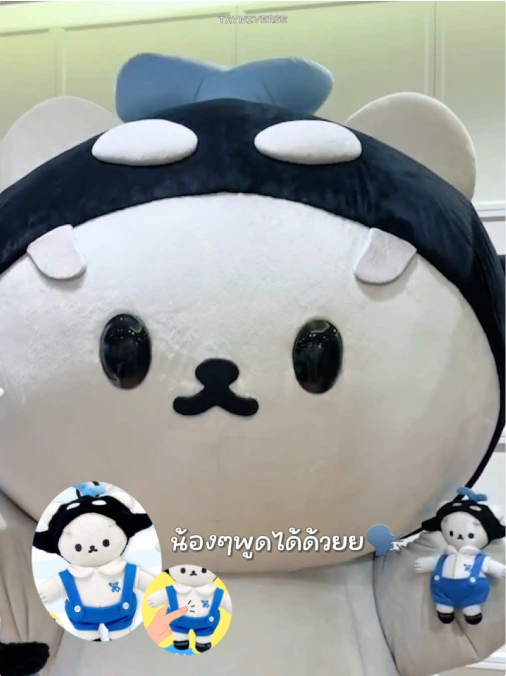 ซังมาขายของ น้ิงเวอร์พุงเต่ง 🤏🏻 เอี๊ยมตึง ยัยพูดเก่งมากก 🗣️ ไม่มีไม่ได้เเล้ว 55555555555 #POLCASAN┆#ยัยซัง  #เตนิว #taynew #โพก้าซัง 