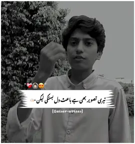 #⚜️سنی⚜️ #foruyou #foryuopage #varilvideo #varilpoetry #trinding #grow #account 