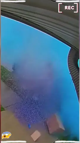 Hope this thief is a fan of the Blues 🤣 💙🥶👤#thief #CaughtOnCamera #securitycamera #instantkarma #funny