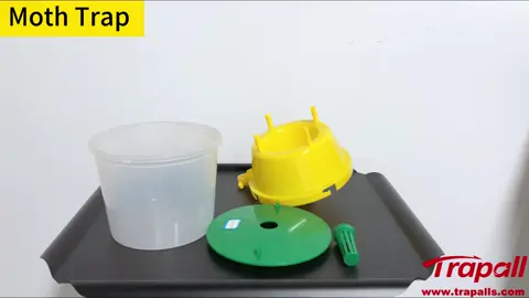 Moth trap#insecttrap