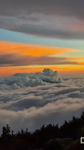 Penuh Sandiwara Dan Kemunafikan #antisengkuni #kemunafikan #topeng #sengkuni #bunglon 