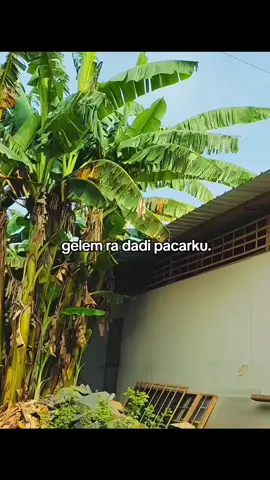 #rifkins22 #masukberanda #xybca #4u #fypシ゚ 