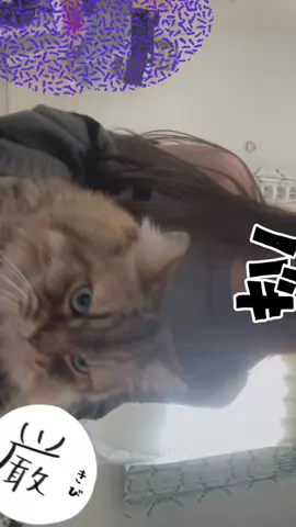 可愛すぎ🤦‍♀️🤦‍♀️🤦‍♀️