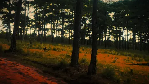 #CapCut #digitalnomad #trekking #trendingsong 