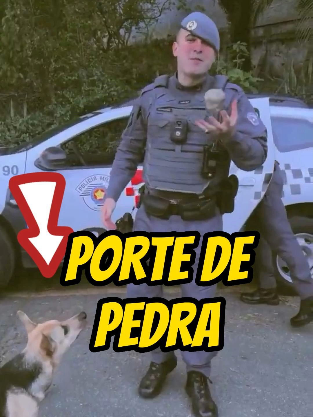 😂🤣 PMS ESTÃO SEGUINDO A DICA DA ''ESPECIALISTA''