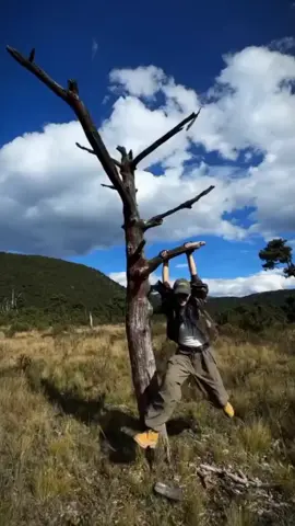 #menok_23  #travel  #vairal 