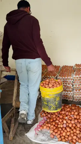 Xogaaga aanka helo xaafadeyda ayan uturtaaye 🙏🏼🙏🏼🙏🏼