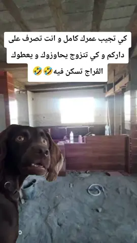ضحك #الجزائر #سوق_السيارات_في_الجزائر #شعب_الصيني_ماله_حل😂😂 #videoviral 