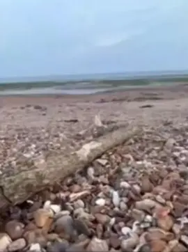 #Meme #MemeCut #CapCut #painful #fyp 