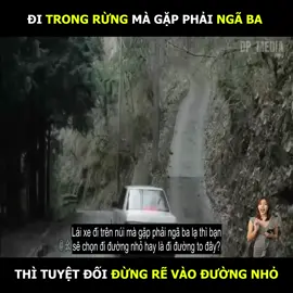 Đi trong rừng mà gặp phải ngã ba thì tuyệt đối đừng rẽ vào đường nhỏ #phimkinhdi #review #phimhaymoingay #flim 