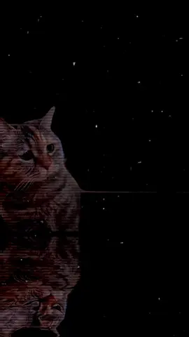 #musica #paratiiiiiiiiiiiiiiiiiiiiiiiiiiiiiii #triste💔parallorar🥺🥺 