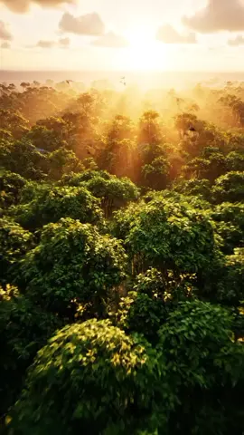 bear show his feelings with love poster video became viral  if this not recorded no one believes him #foryoupage #fyp #viral 